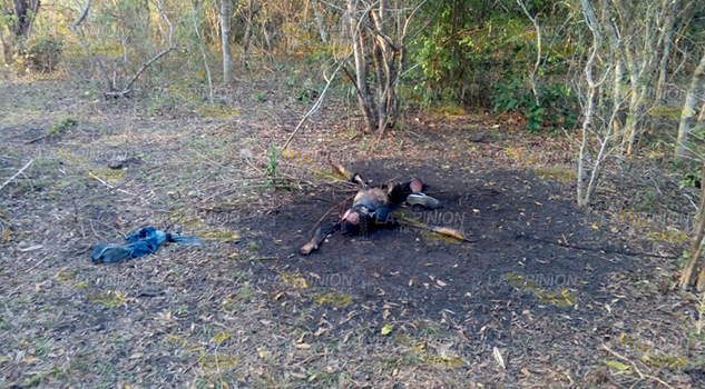 Sin Identificar Cuerpo Mujeres Asesinadas