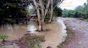 Viviendas quedan inundadas tras atípica lluvia Viviendas Quedan Inundadas Tras Atípica Lluvia
