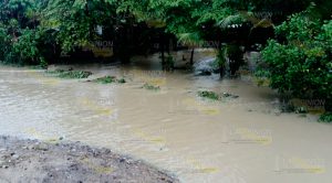 Viviendas quedan inundadas tras atípica lluvia Viviendas Quedan Inundadas Tras Atípica Lluvia