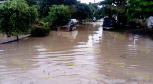 Viviendas quedan inundadas tras atípica lluvia Viviendas Quedan Inundadas Tras Atípica Lluvia