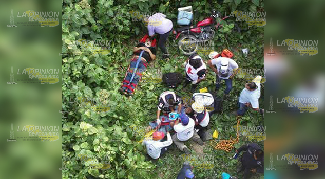 Viven de milagro: caen a un barranco