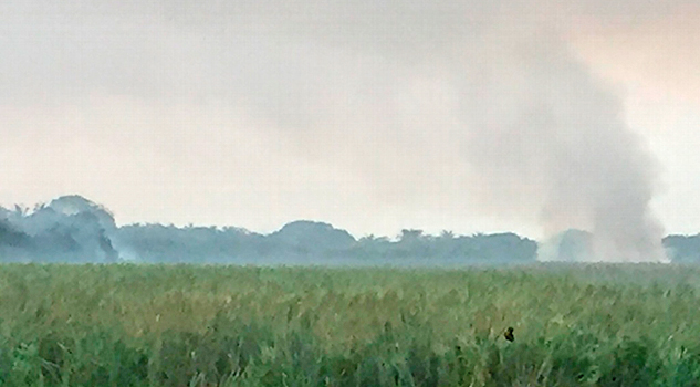 Continúa incendio de pastizal en Tembladeras