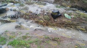 Arroyos de respuesta rápida se activan tras paso de una tormenta.