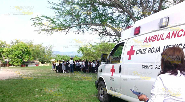 Ama Casa Fue Mordida Por Perro