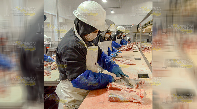 Carne Clandestina Llega Hogares
