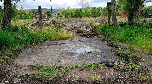 Constatan afectaciones por derrame de aceite Constatan Afectaciones Por Derrame Aceite