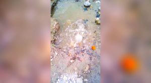 No Tienen Agua Tres Cruces