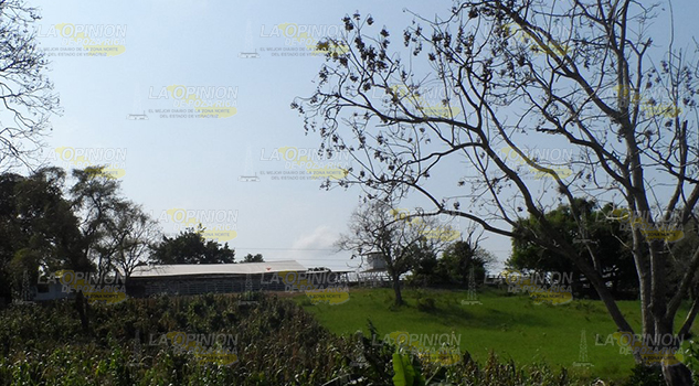 Roban en otro rancho ganadero Roban Otro Rancho Ganadero