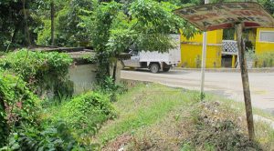 Solares enmontados sirven como criaderos de moscos Solares Enmontados Sirven Criaderos Moscos