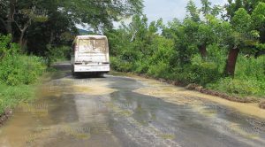 Solares enmontados sirven como criaderos de moscos Solares Enmontados Sirven Criaderos Moscos
