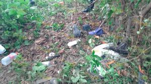 Taxista Muere Accidente