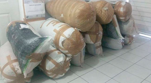 Transportaban Media Tonelada Marihuana PGR Investiga