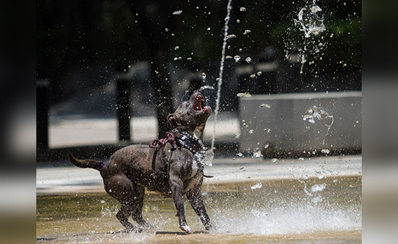 El calor no cede en el país; habrá hasta 50 grados este viernes