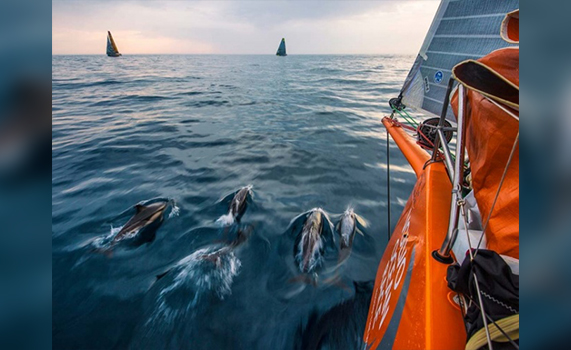 8 de junio, Día Mundial de los Océanos