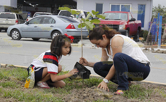 Ediles pueden reforestar PR
