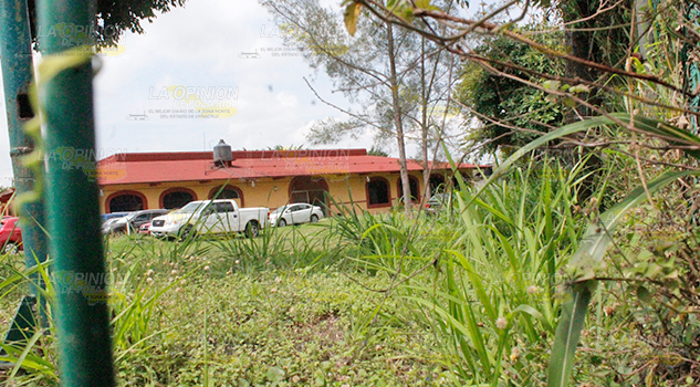 Casa de Cultura en el abandono entre la maleza y el olvido