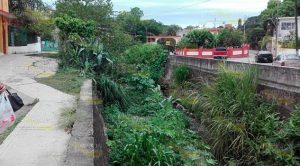 Canal de desfogue, obstruido con maleza y basura Canal Desfogue Obstruido Maleza Basura