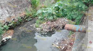 Canal de desfogue, obstruido con maleza y basura Canal Desfogue Obstruido Maleza Basura