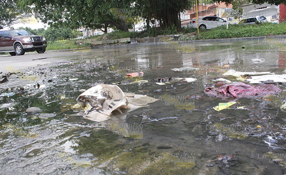 No soportan pestilencia, escurren aguas negras