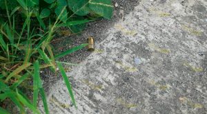 Detonaciones en un fraccionamiento de Tuxpan Detonaciones Vista Hermosa Tuxpan