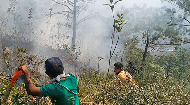 Maltrata, con más hectáreas afectadas por incendios