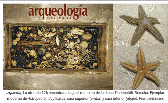 Estrella de mar del Templo Mayor, Tenochtitlan
