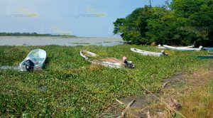 En Barra de Cazones buscarán su propio rescatista
