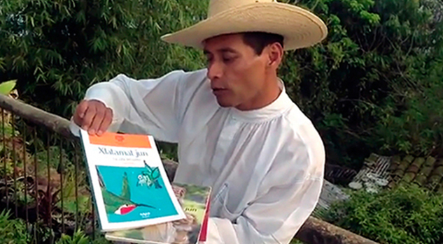 La vida del colibrí