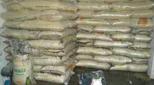 Lluvias causan estragos en Papantla Lluvia Papantla, Inundación