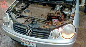 Lluvias causan estragos en Papantla Lluvia Papantla, Inundación
