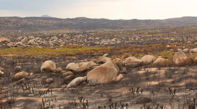 Más de 3 mil hectáreas consumidas por el fuego en la Sierra de Juárez