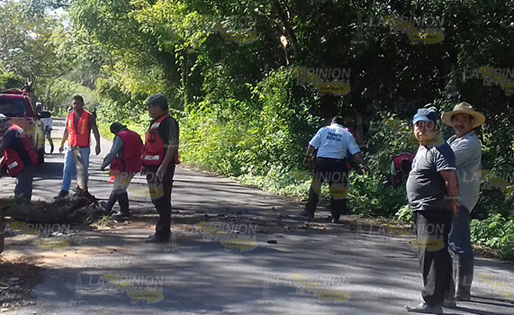 Activan brigadas, en todas las comunidades