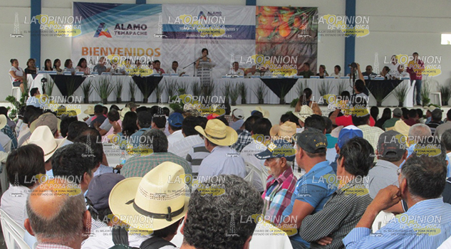 Capacitan a agentes y subagentes de Álamo