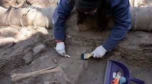 Hallan "tesoro" teotihuacano en el Bosque de Chapultepec