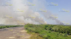 Ola de incendios en zona portuaria de Tuxpan