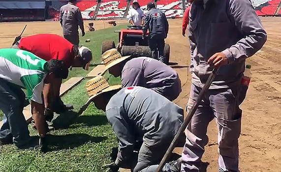 Cruz Azul vs. Puebla se jugará sin problema; garantizan el pasto del Azteca