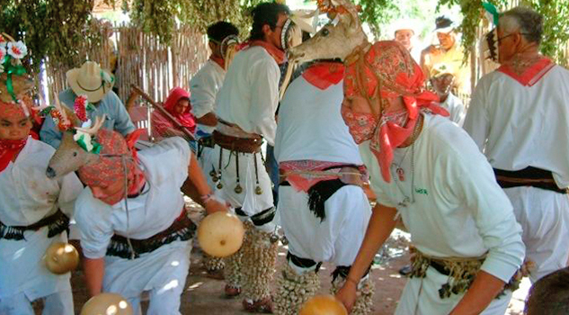 Preservarán danzas de pascolas y venados