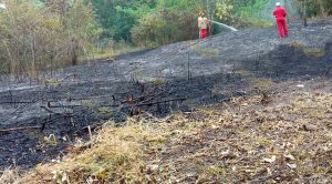 Cuerpo de bomberos se moviliza por incendio en Tancoco Cuerpo Bomberos Moviliza Incendio Tancoco