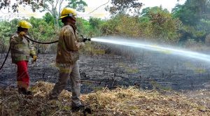 Cuerpo de bomberos se moviliza por incendio en Tancoco Cuerpo Bomberos Moviliza Incendio Tancoco