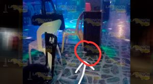 Detonan artefacto en bar de Tuxpan Detonan Artefacto Bar Tuxpan