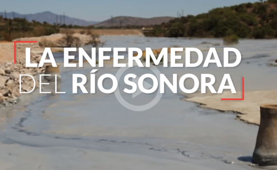 Devastación, dolor y muerte: 4 años, y ni Larrea ni el Gobierno de EPN dan la cara en Río Sonora
