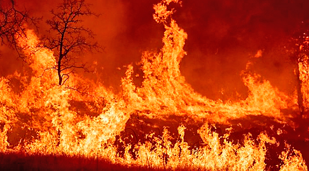 El fuego también devora a California: un muerto y varios evacuados