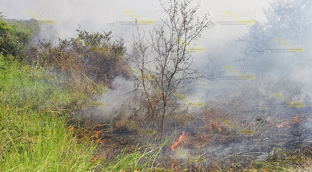 Incendio consume 280 hectáreas en Tamiahua Incendio Consume 280 Hectáreas Tamiahua