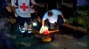 La matan con una roca en el ejido La Tortuga de Álamo La Matan Con Roca El Ejido La Tortuga Álamo
