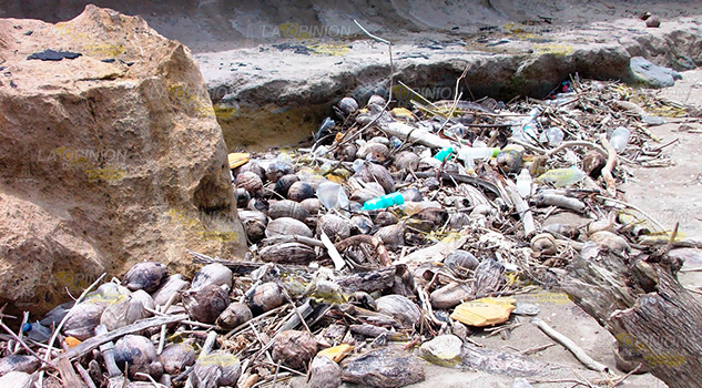 Solicitan contenedores de basura para playa Chaparrales Solicitan Contenedores Basura Para Playa Chaparrales