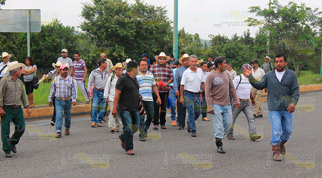 Toman la caseta de Miahuapan Toman Caseta Miahuapan