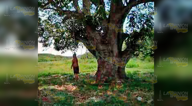 Obrero se ahorca en un árbol de Altamira, lo relacionan con un homicidio