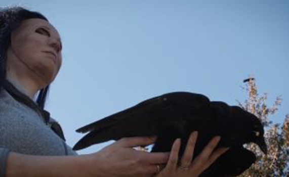 VIDEO: ¿Qué saben los cuervos de la muerte? Estas inteligentes aves aprenden de ella
