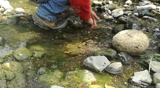 Extraña mortandad de peces en el río Moralillo en Cerro Azul