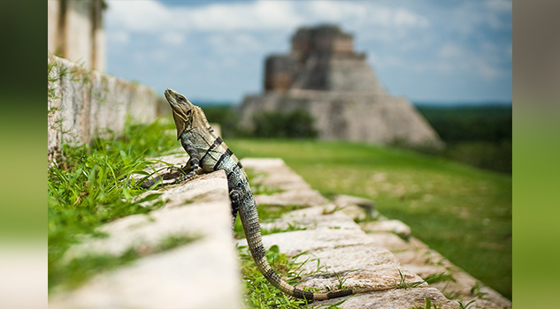 La sequía que acabó con el corazón de la civilización maya: nuevos datos apoyan la teoría del colapso climático